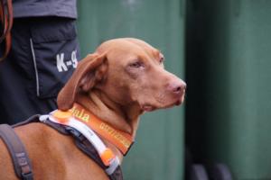 27.01.2019 Marburg (129)